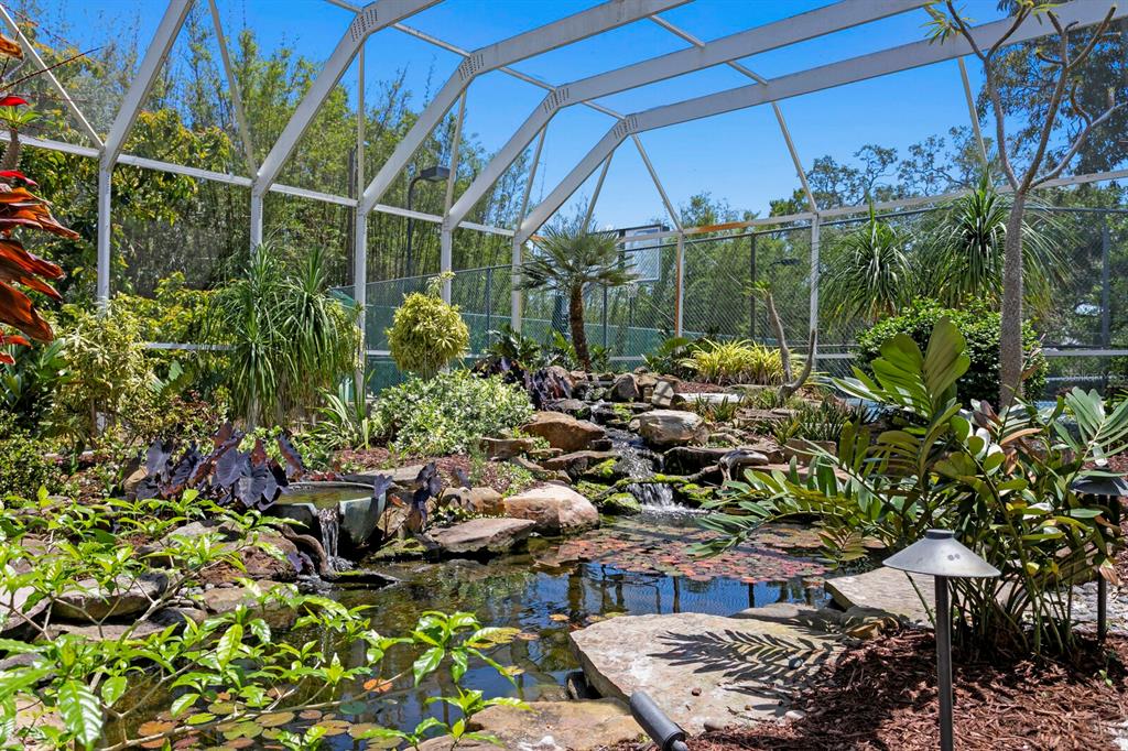 147 Edgewater Drive Dunedin, FL 34698 - Photo 50 of 99 a backyard of a house with lots of green space