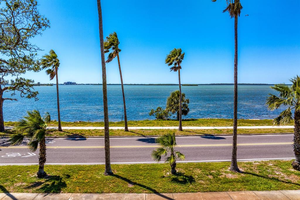 147 Edgewater Drive Dunedin, FL 34698 - Photo 53 of 99