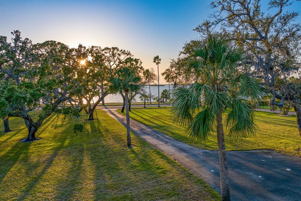 147 Edgewater Drive Dunedin, FL 34698 - Photo 94 of 99 a view of a yard with swimming pool