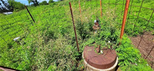 $535,000 | 20479 D Highway, Norborne, MO 64668