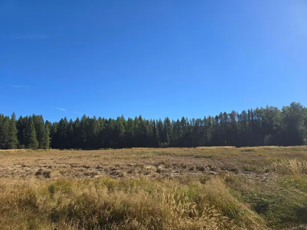 $625,000 | 2-xxx Quinns Meadow Road, Colville, WA 99114