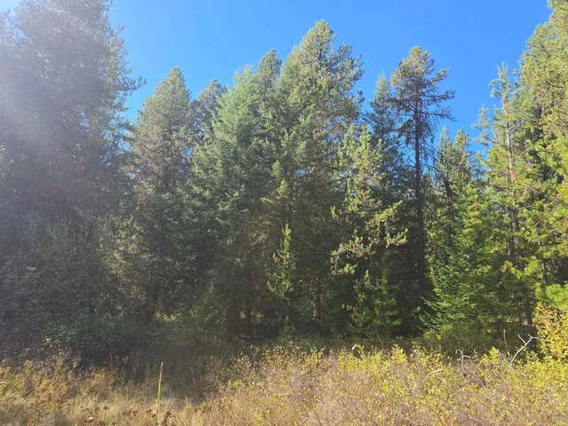 $899,000 | 2-xxx Quinns Meadow Road, Colville, WA 99114