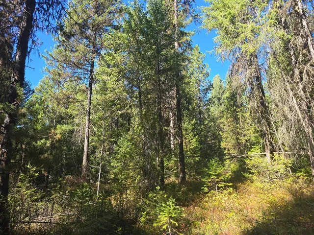 $899,000 | 2-xxx Quinns Meadow Road, Colville, WA 99114