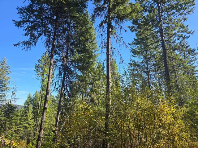 $899,000 | 2-xxx Quinns Meadow Road, Colville, WA 99114