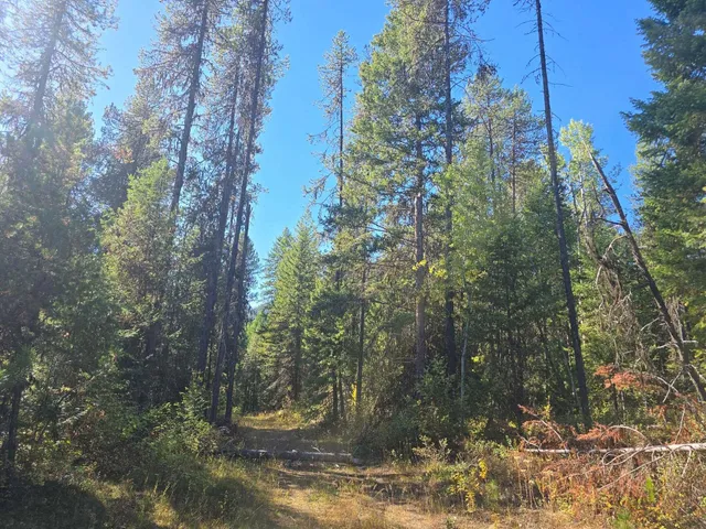 $899,000 | 2-xxx Quinns Meadow Road, Colville, WA 99114