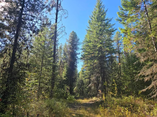 $899,000 | 2-xxx Quinns Meadow Road, Colville, WA 99114