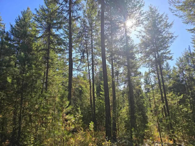 $899,000 | 2-xxx Quinns Meadow Road, Colville, WA 99114