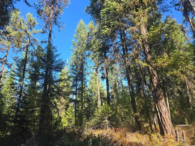 $899,000 | 2-xxx Quinns Meadow Road, Colville, WA 99114