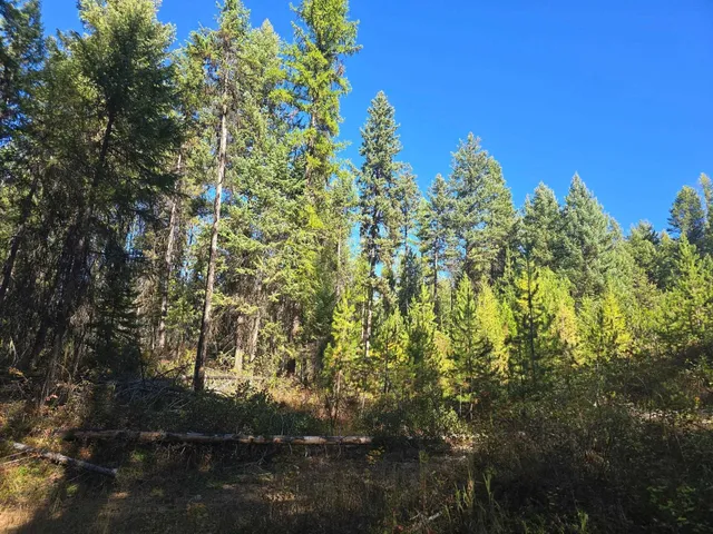 $899,000 | 2-xxx Quinns Meadow Road, Colville, WA 99114