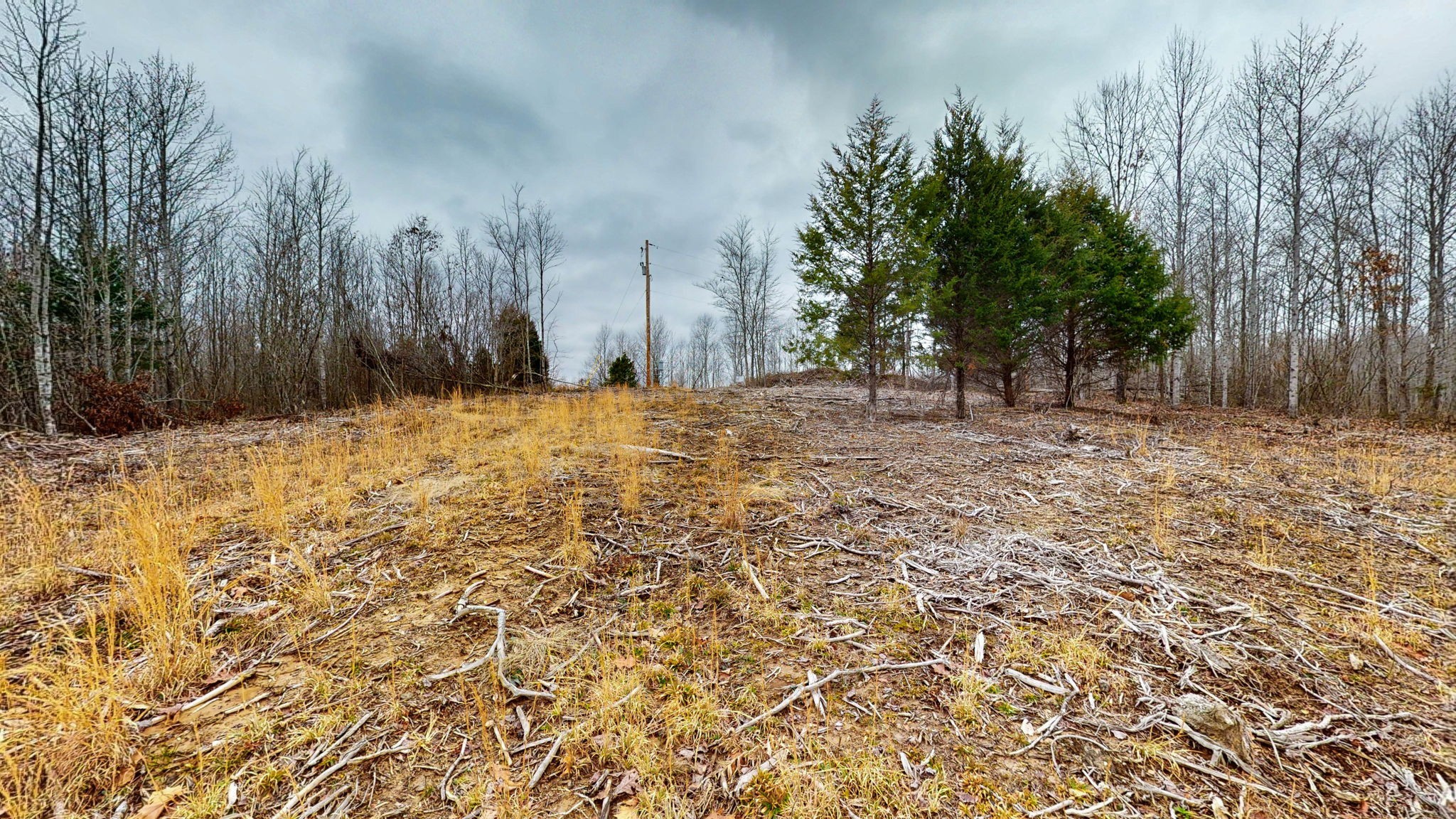 0 Horseshoe Hollow Road Dover, TN 37058 - Photo 11 of 24 a view of water covered with snow in front of house