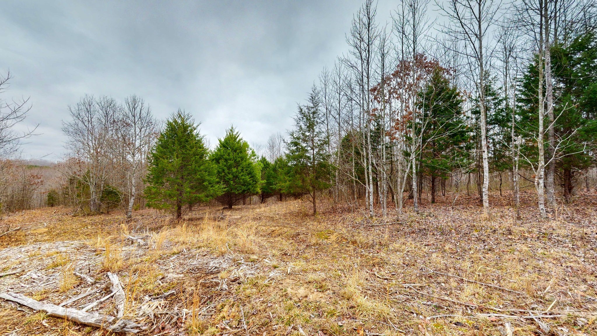 0 Horseshoe Hollow Road Dover, TN 37058 - Photo 12 of 24 a view of backyard with green space