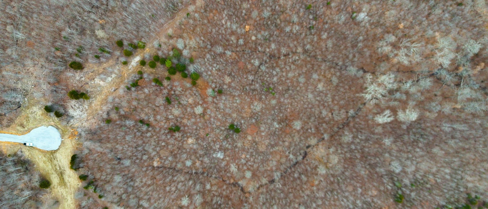 0 Horseshoe Hollow Road Dover, TN 37058 - Photo 17 of 24 a bathroom with a sink