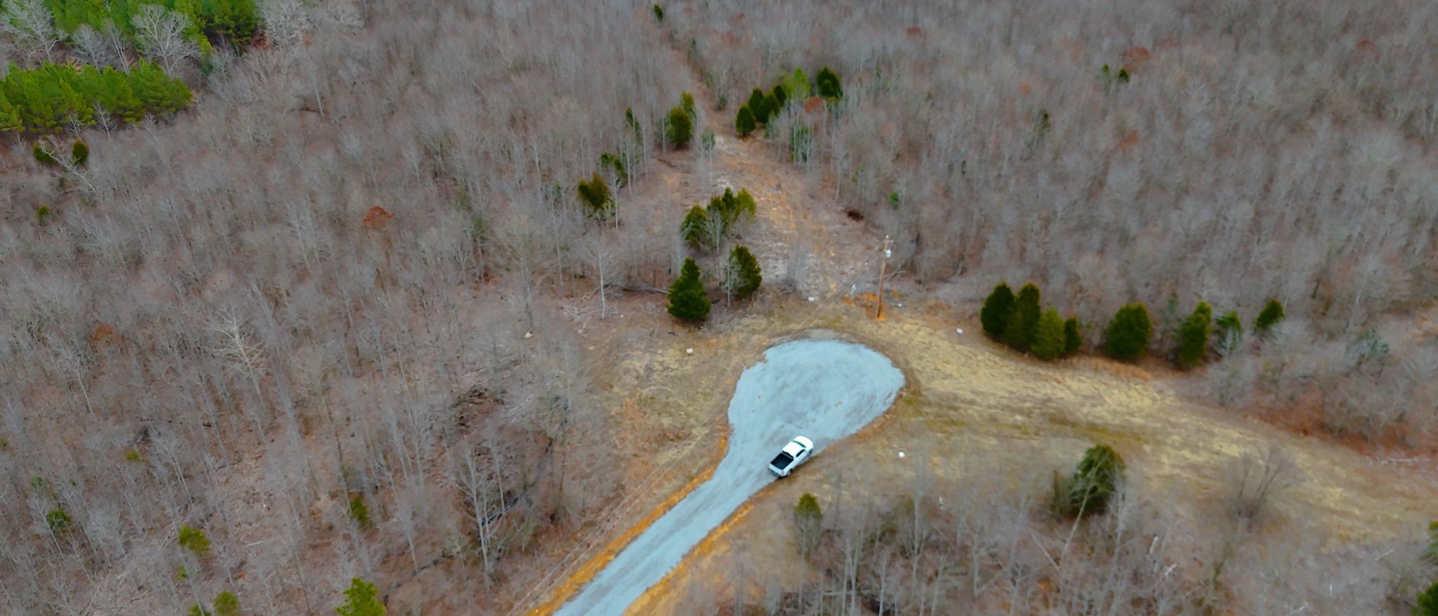 0 Horseshoe Hollow Road Dover, TN 37058 - Photo 21 of 24 a picture of a room with a flower plants
