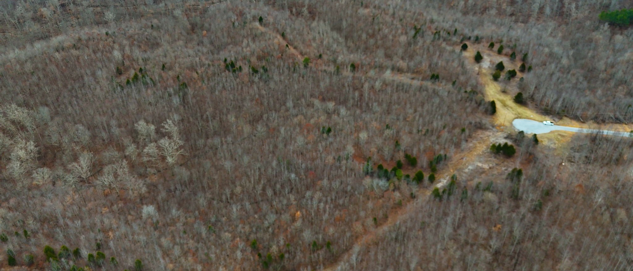 0 Horseshoe Hollow Road Dover, TN 37058 - Photo 23 of 24 a view of a lush green field