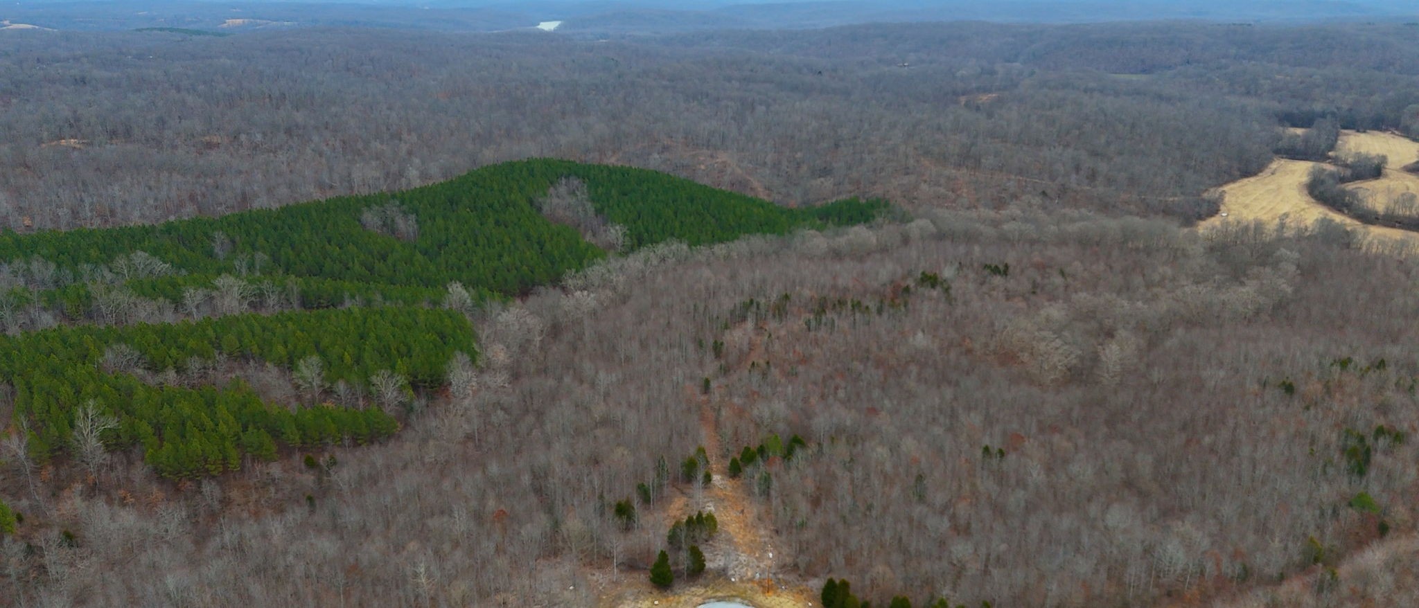 0 Horseshoe Hollow Road Dover, TN 37058 - Photo 24 of 24 a view of a dry yard
