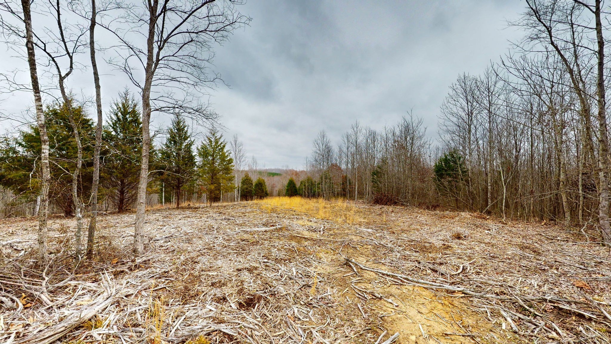 0 Horseshoe Hollow Road Dover, TN 37058 - Photo 5 of 24 a street view covered with snow