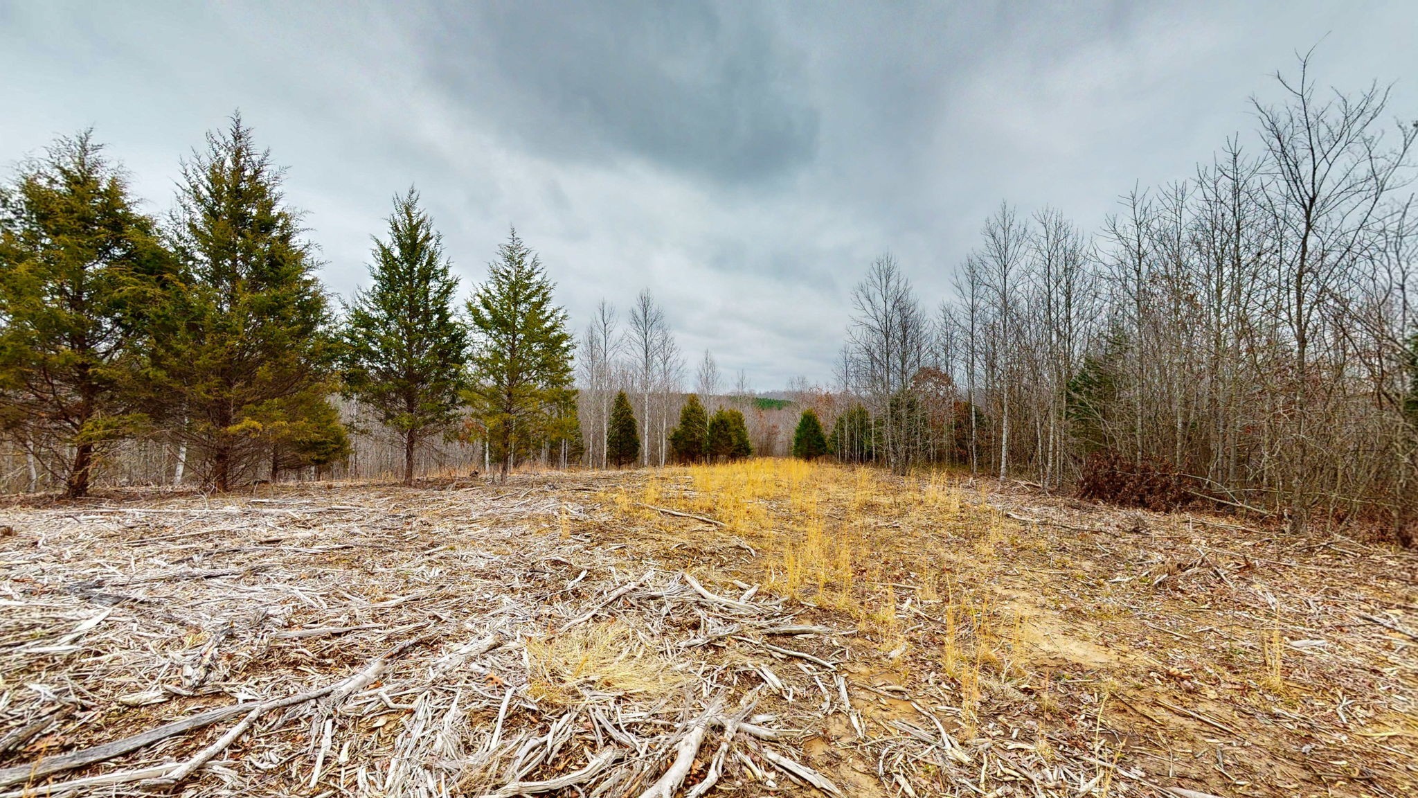 0 Horseshoe Hollow Road Dover, TN 37058 - Photo 6 of 24 a view of empty room