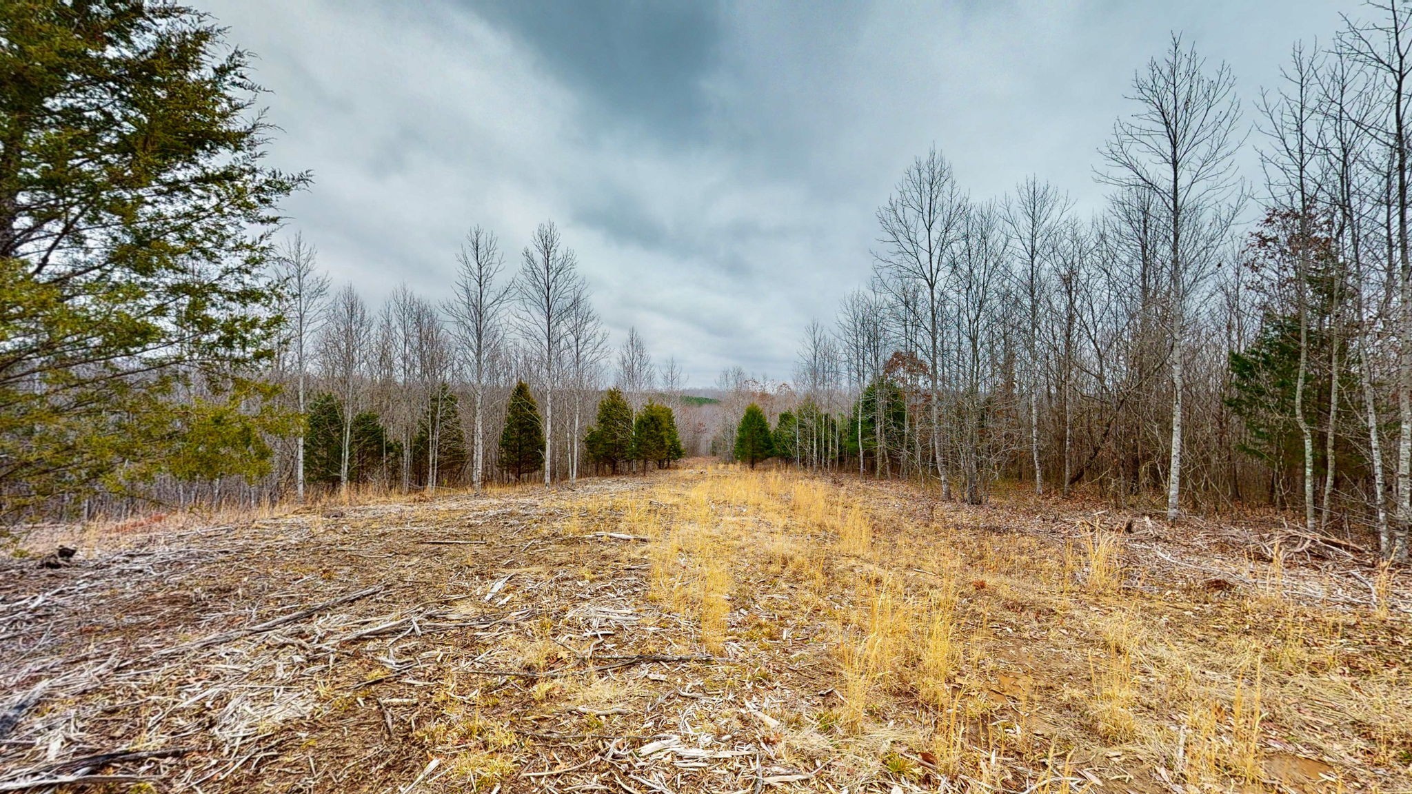 0 Horseshoe Hollow Road Dover, TN 37058 - Photo 9 of 24 a view of dirt yard