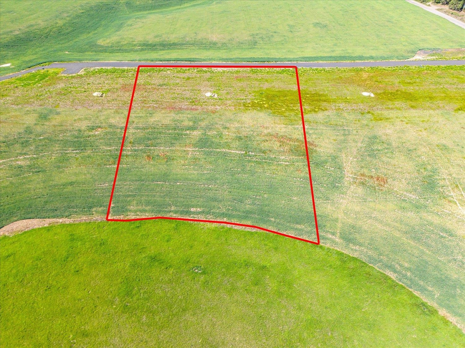 8838 East Little Deep Creek Road Colbert, WA 99005 - Photo 3 of 12