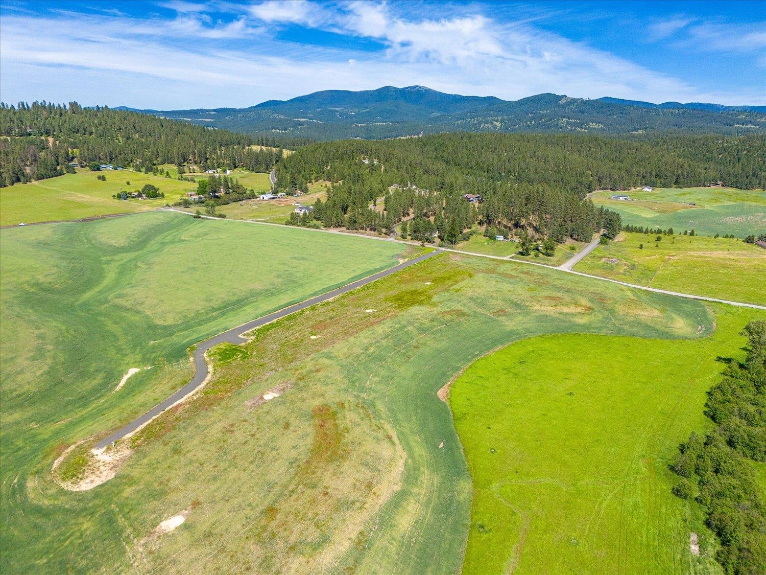 8838 East Little Deep Creek Road Colbert, WA 99005 - Photo 6 of 12