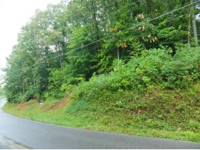0 Stage Road Kingsport, TN 37664 - Photo 3 of 4 Photo 3