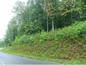 0 Stage Road Kingsport, TN 37664 - Photo 4 of 4 Photo 4