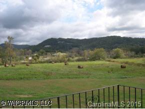 4006 Chimney Rock Road Hendersonville, NC 28792 - Photo 5 of 6 a view of an outdoor and microwave
