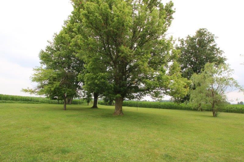 7440 Blue Church Road Sunbury, OH 43074 - Photo 25 of 36