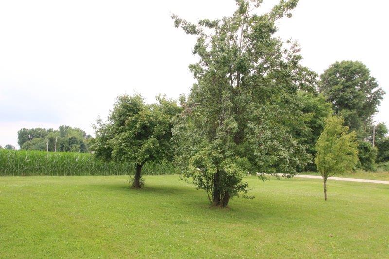 7440 Blue Church Road Sunbury, OH 43074 - Photo 26 of 36