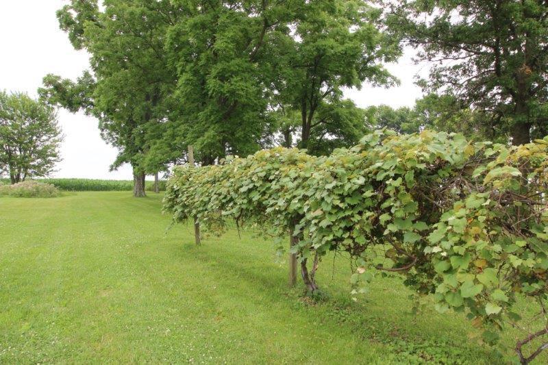 7440 Blue Church Road Sunbury, OH 43074 - Photo 28 of 36