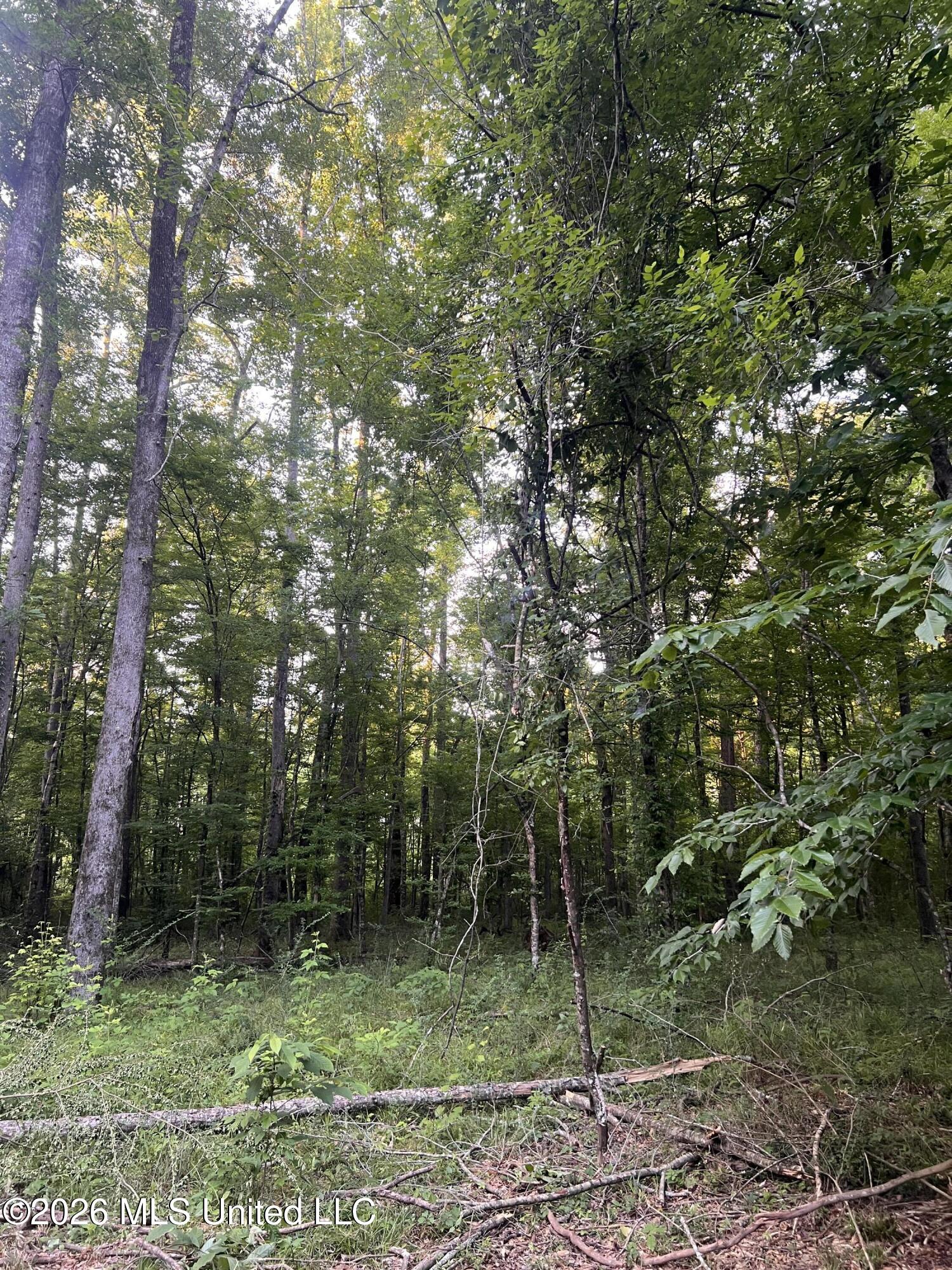 5734 Hebron Road Liberty, MS 39645 - Photo 26 of 32 27.