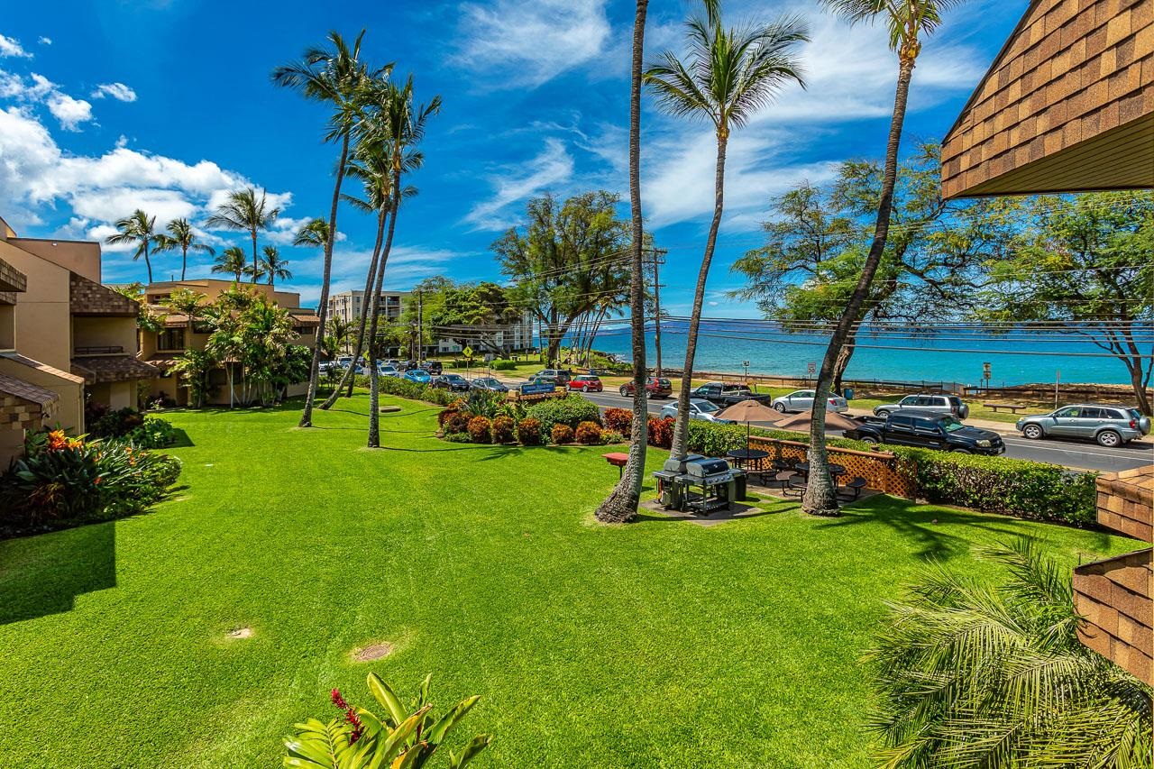 2381 South Kihei Road, Unit C109 Kihei, HI 96753 - Photo 16 of 25 a view of a garden with a slide