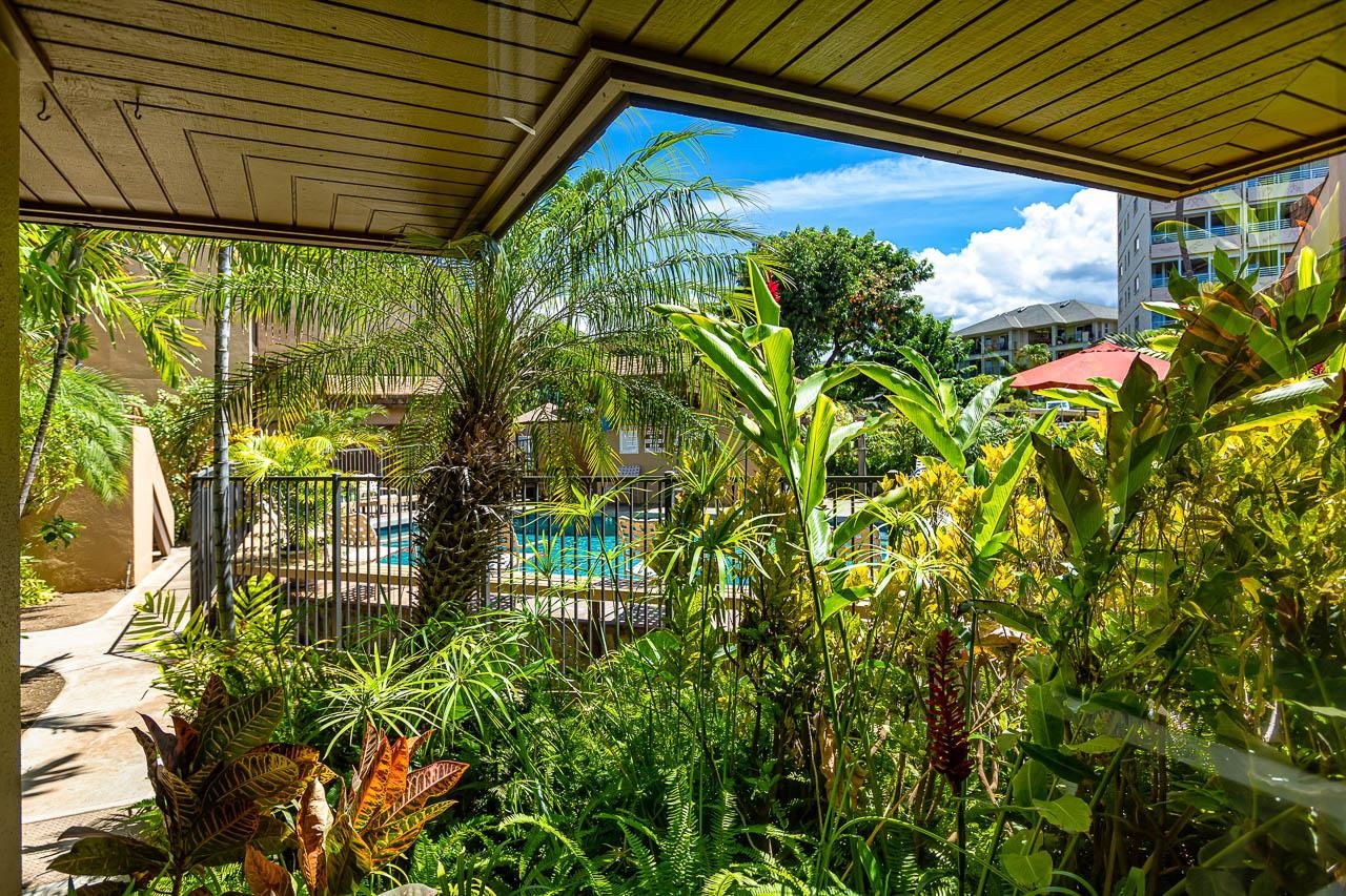 2381 South Kihei Road, Unit C109 Kihei, HI 96753 - Photo 19 of 25 a view of a yard with plants
