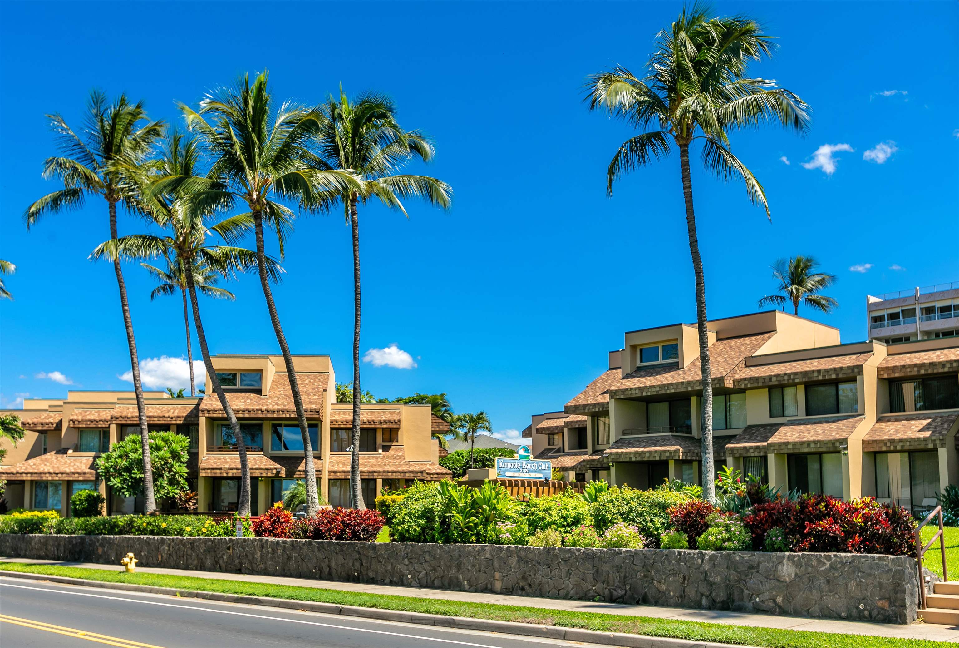 2381 South Kihei Road, Unit C109 Kihei, HI 96753 - Photo 25 of 25 a view of a palm trees in front of a building