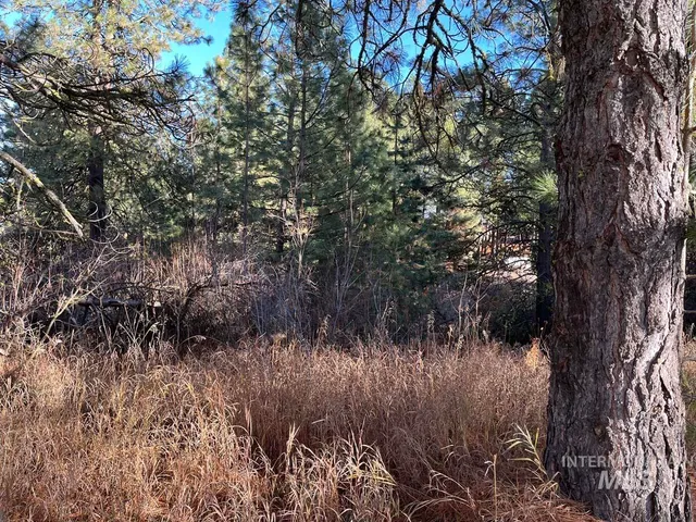 $165,000 | L129 Par Drive, Cascade, ID 83611
