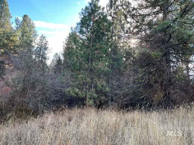 $165,000 | L129 Par Drive, Cascade, ID 83611