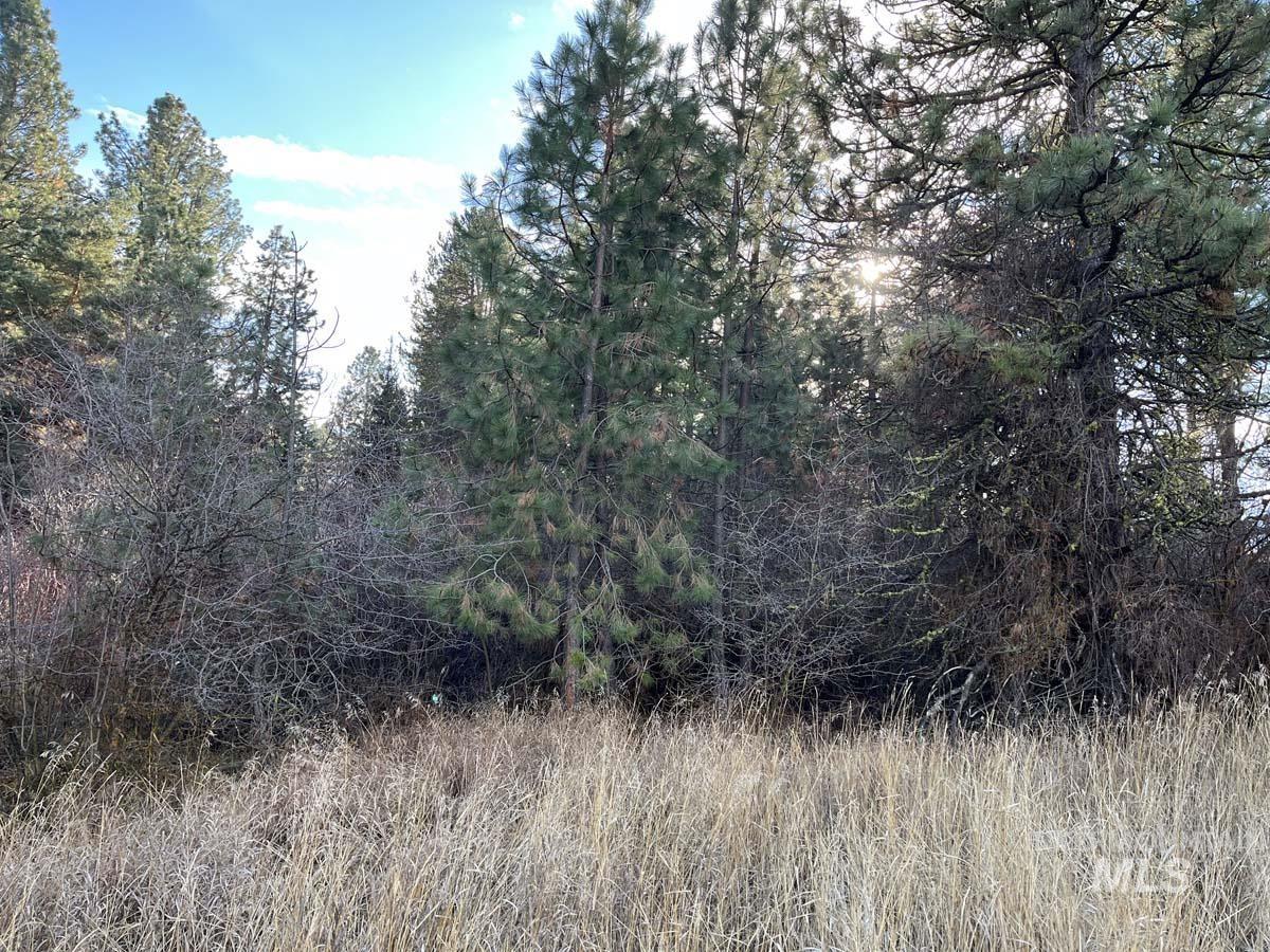 L129 Par Drive Cascade, ID 83611 - Photo 3 of 10