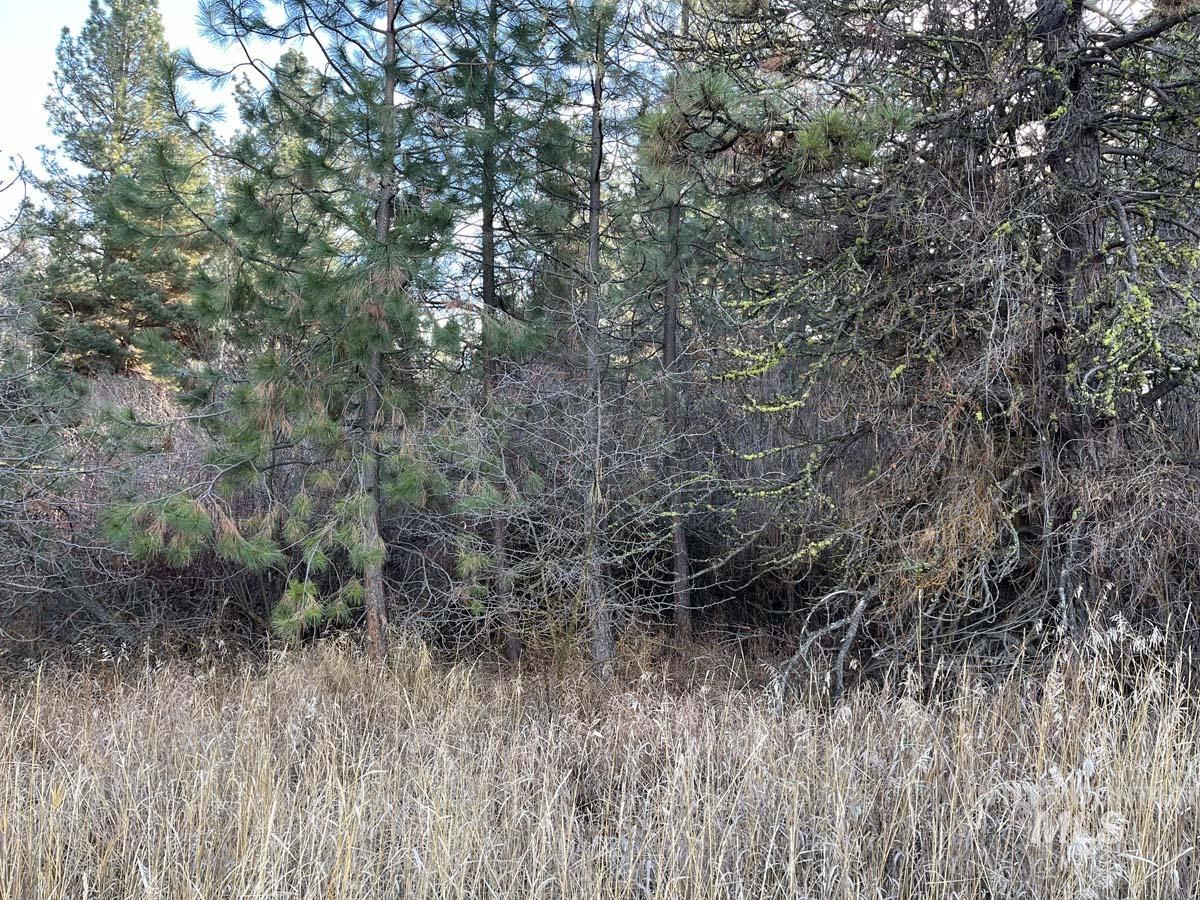 L129 Par Drive Cascade, ID 83611 - Photo 5 of 10