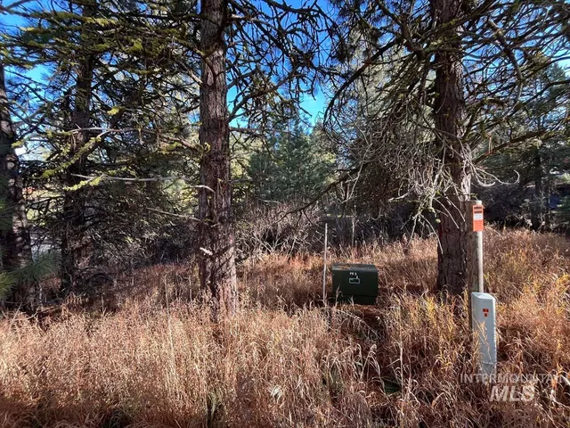 $165,000 | L129 Par Drive, Cascade, ID 83611