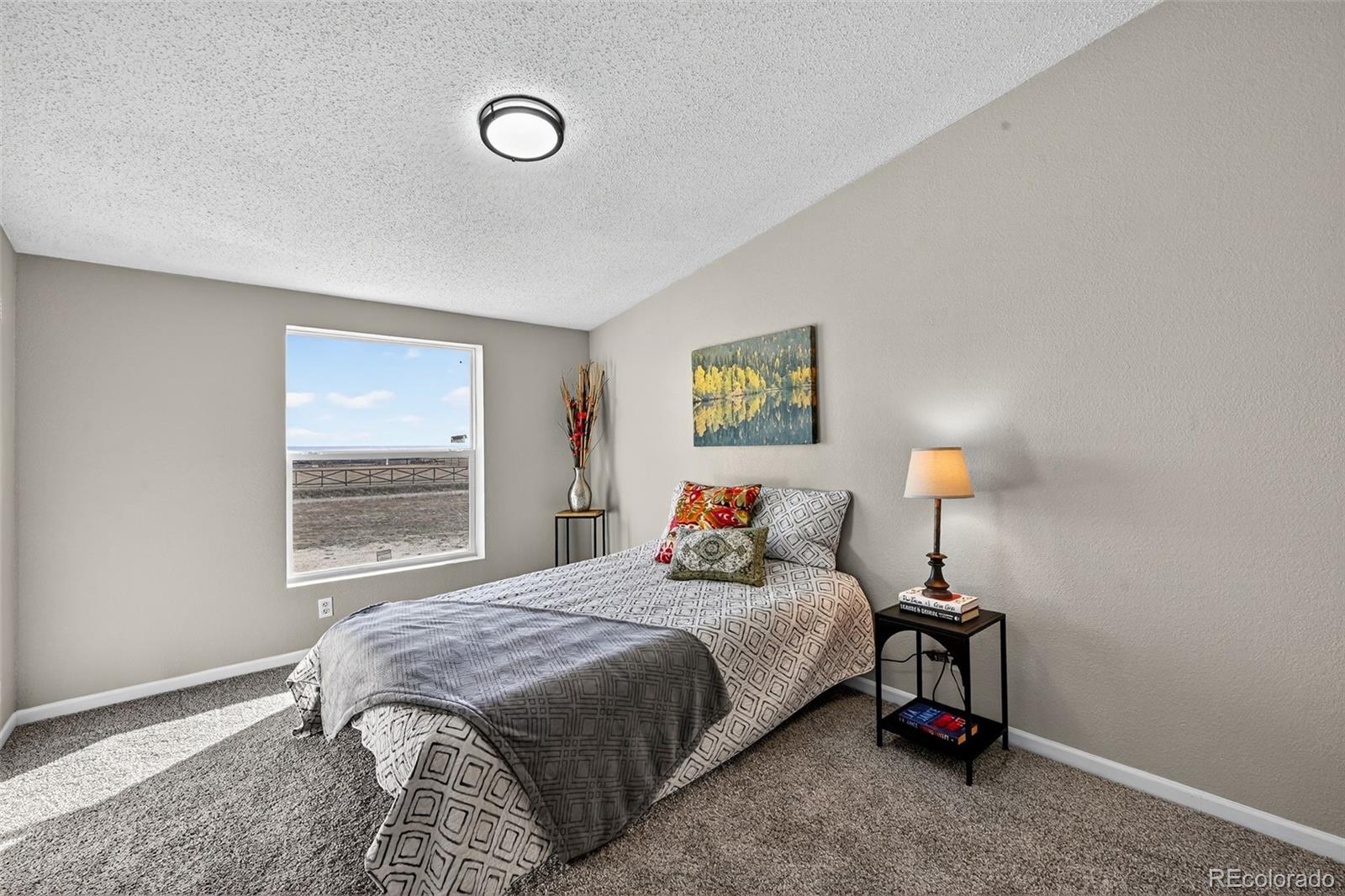 704 Buffalo Run Road Calhan, CO 80808 - Photo 27 of 41