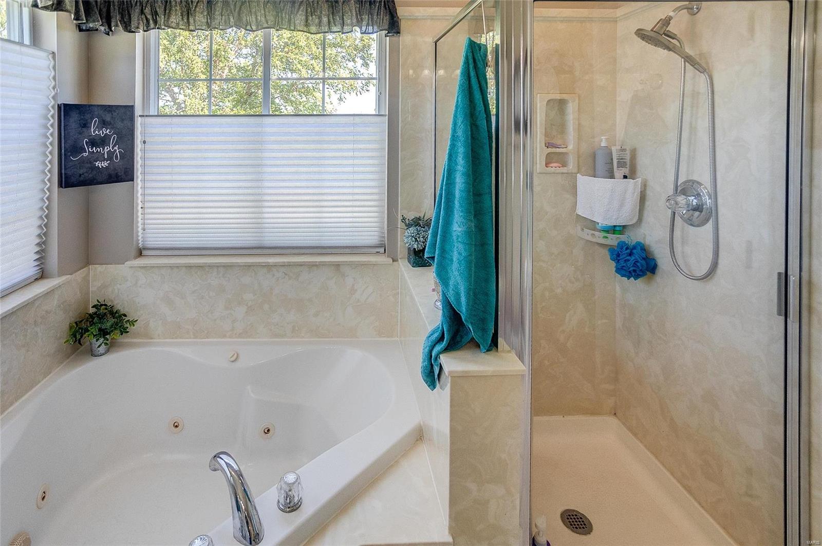 3713 Weeping Willow Court Waterloo, IL 62298 - Photo 38 of 69