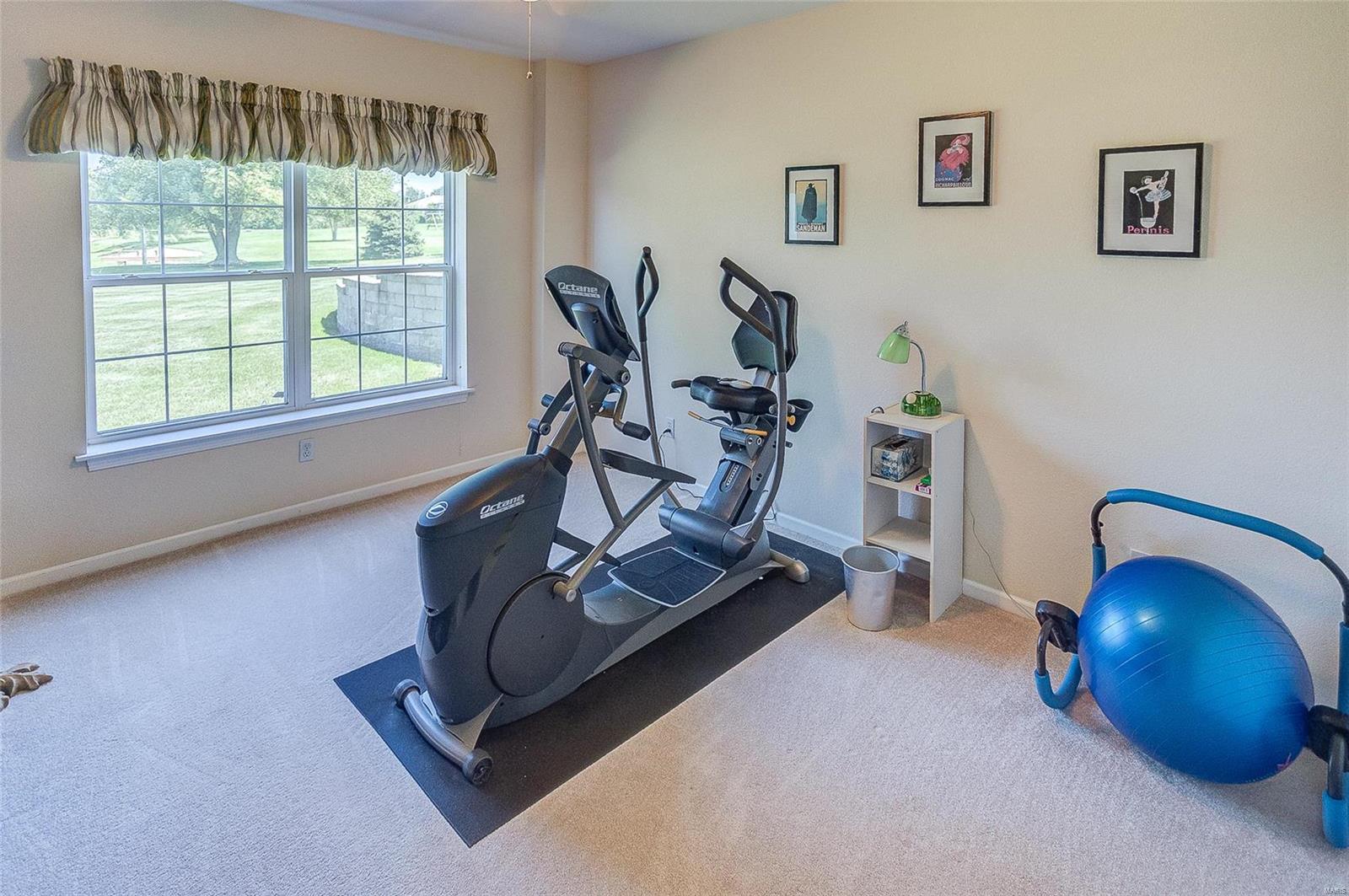 3713 Weeping Willow Court Waterloo, IL 62298 - Photo 46 of 69