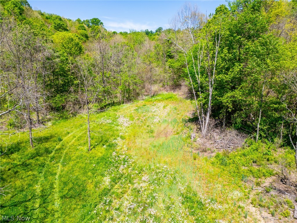 37500 Goose Run Road Dexter City, OH 45727 - Photo 4 of 50