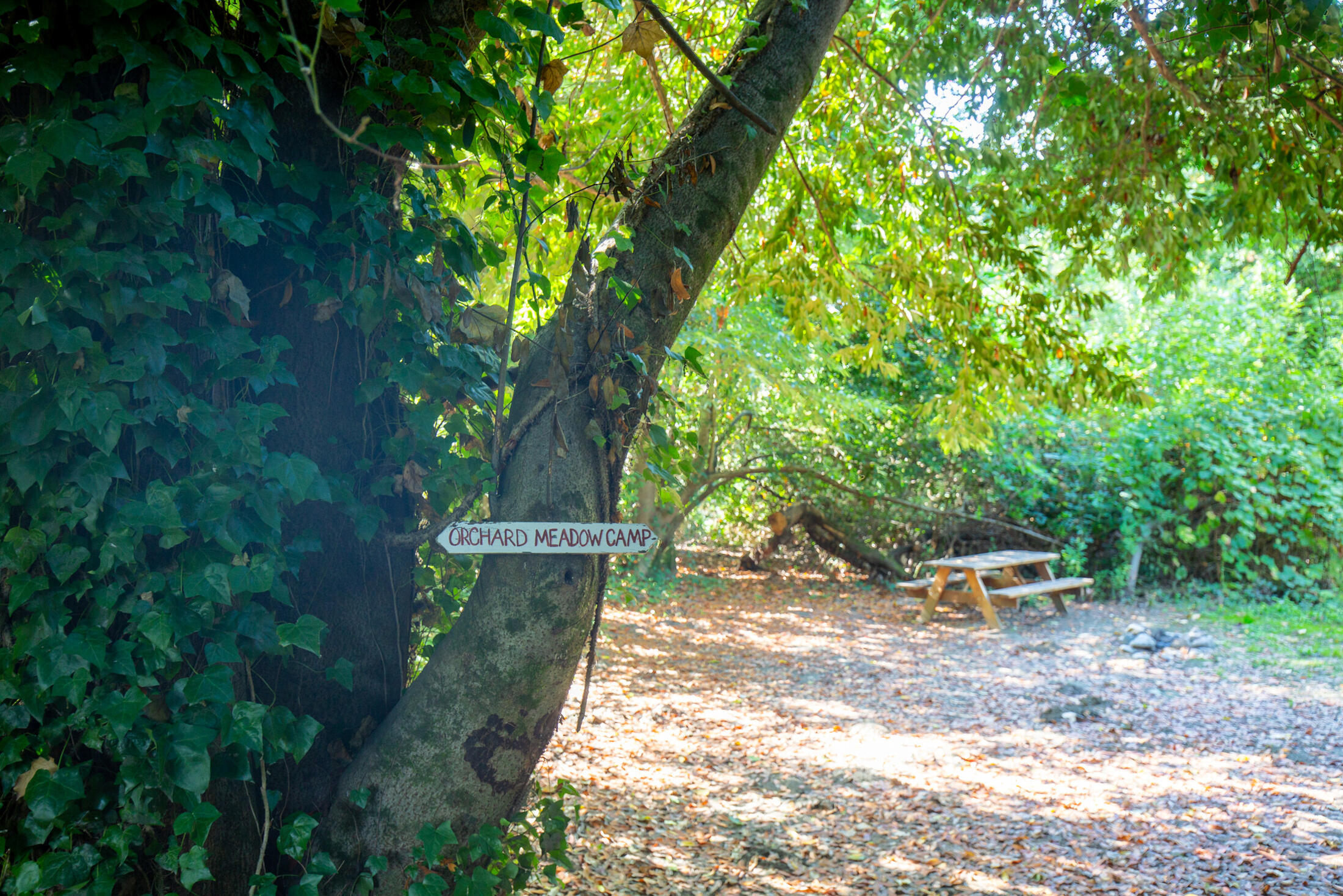 13065 Johnson Road Hoopa, CA 95546 - Photo 81 of 95