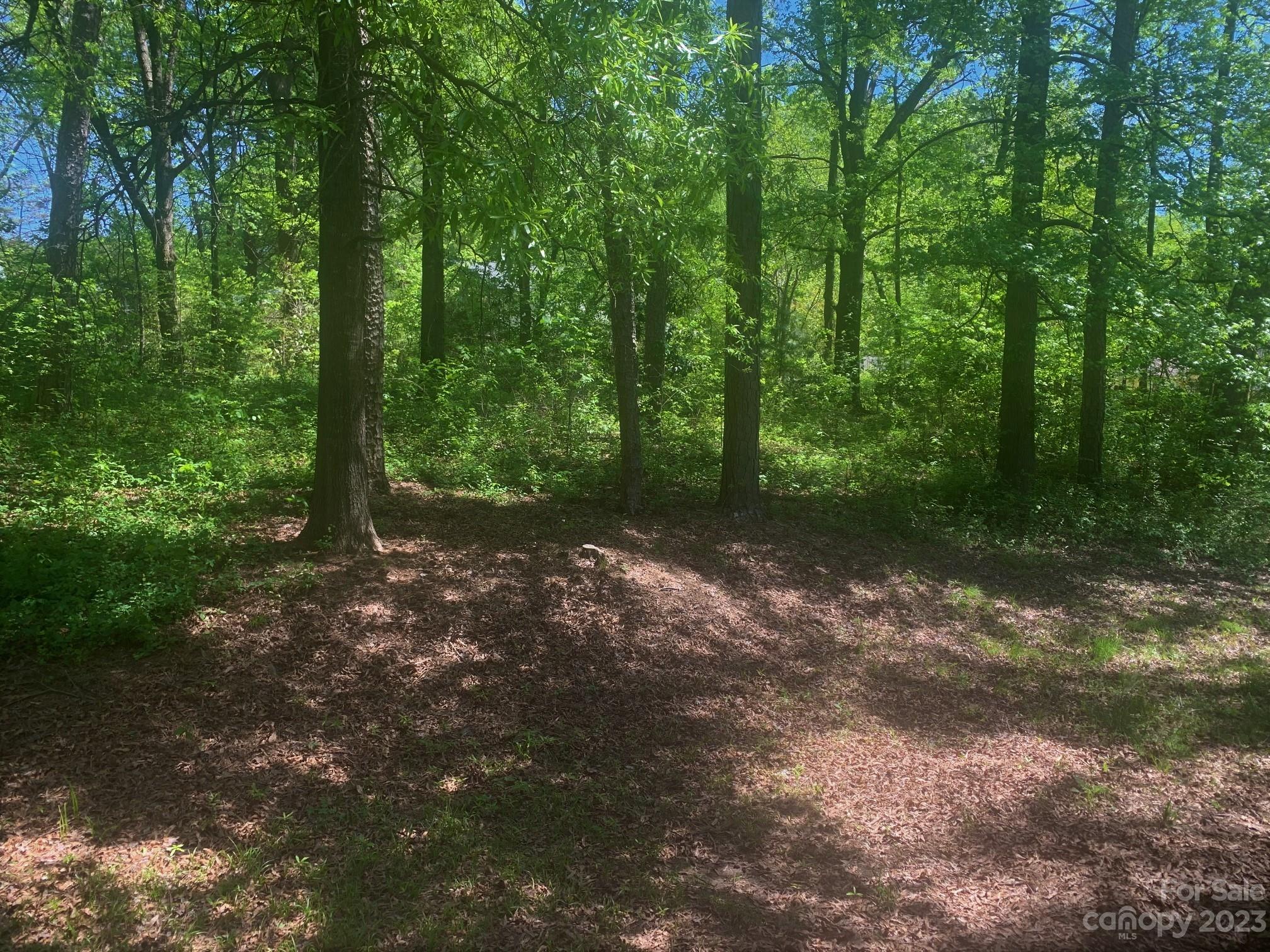 5616 Charlie Walker Road Kannapolis, NC 28081 - Photo 13 of 13 a view of a forest with trees in the background