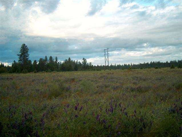 0 North Short Road Deer Park, WA 99006 - Photo 1 of 7