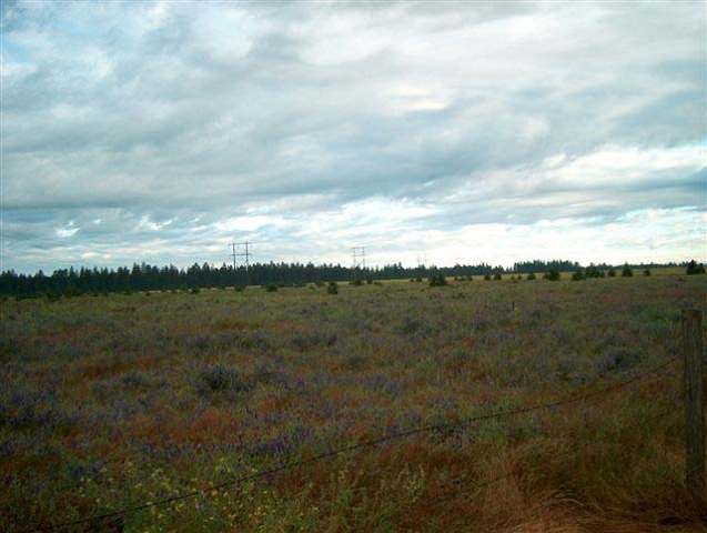 0 North Short Road Deer Park, WA 99006 - Photo 2 of 7