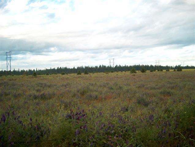 0 North Short Road Deer Park, WA 99006 - Photo 3 of 7