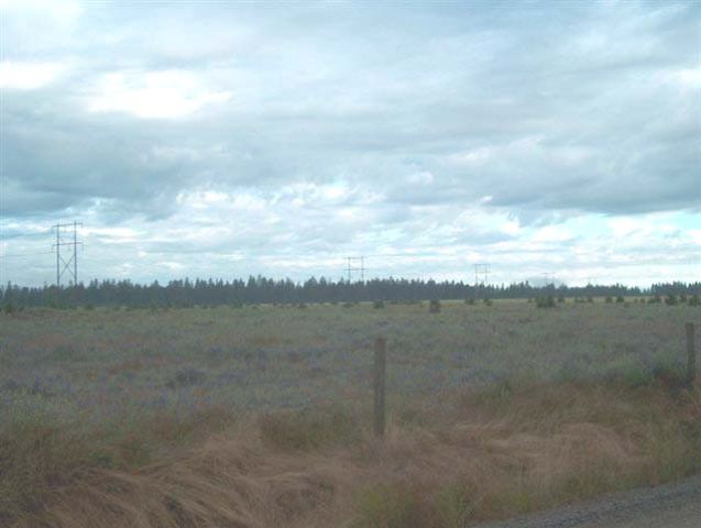 0 North Short Road Deer Park, WA 99006 - Photo 4 of 7
