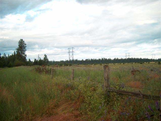 0 North Short Road Deer Park, WA 99006 - Photo 5 of 7